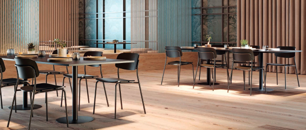 4er Set colos Stuhl Daily 1